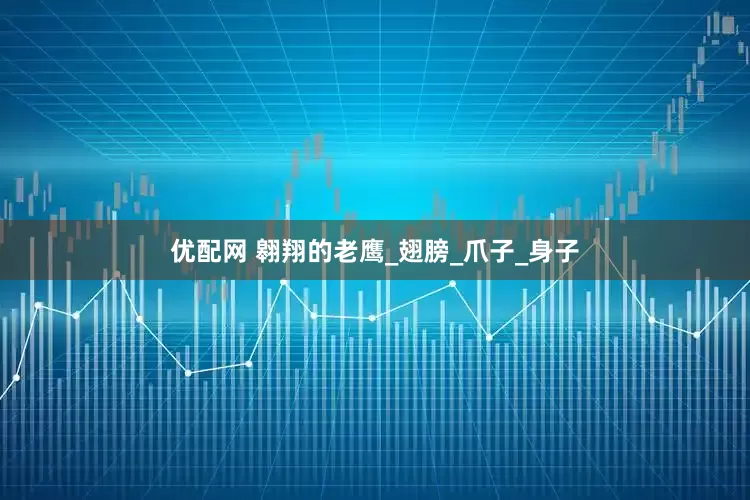 优配网 翱翔的老鹰_翅膀_爪子_身子