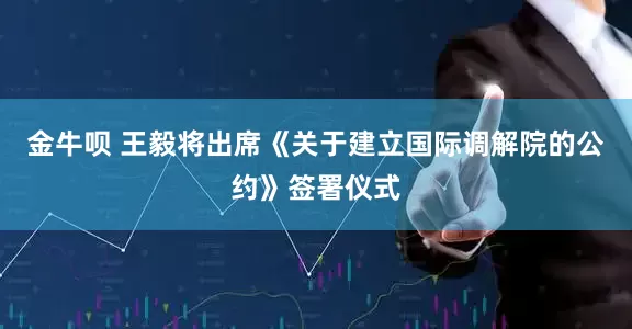 金牛呗 王毅将出席《关于建立国际调解院的公约》签署仪式