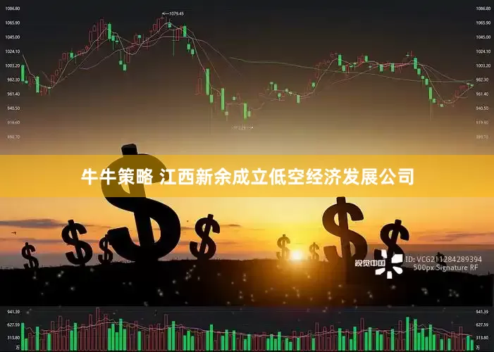 牛牛策略 江西新余成立低空经济发展公司