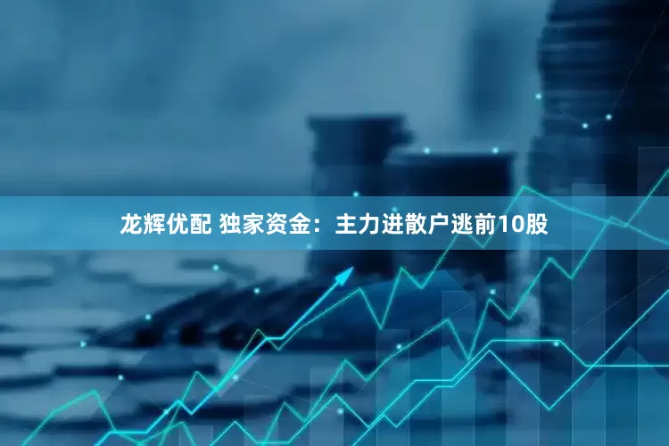龙辉优配 独家资金：主力进散户逃前10股