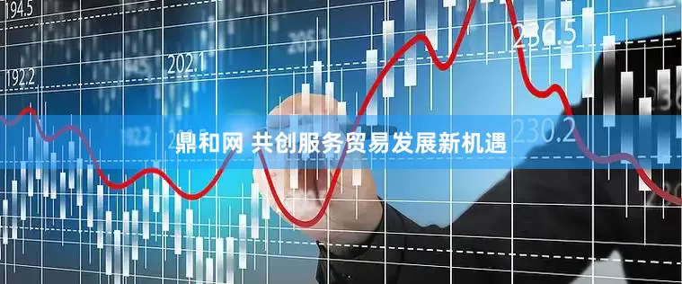 鼎和网 共创服务贸易发展新机遇