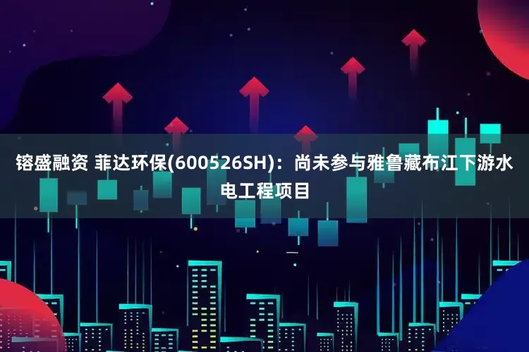 镕盛融资 菲达环保(600526SH)：尚未参与雅鲁藏布江下游水电工程项目